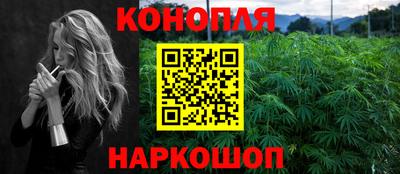 крисы Нальчик