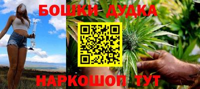 крисы Нальчик