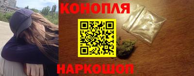 крисы Нальчик
