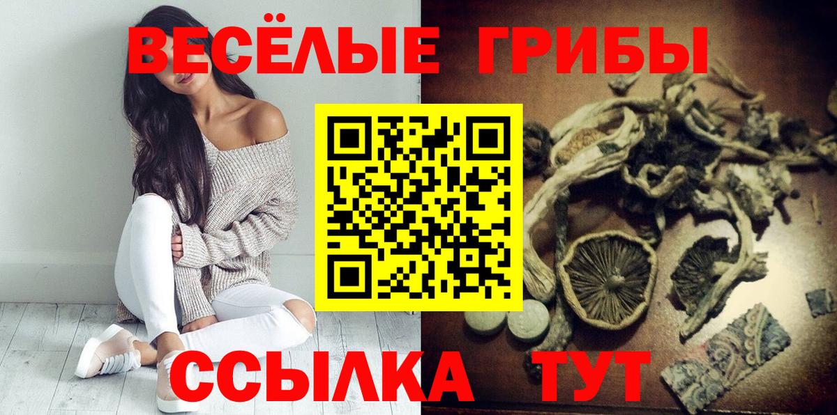 Псилоцибиновые грибы MAGIC MUSHROOMS Новошахтинск