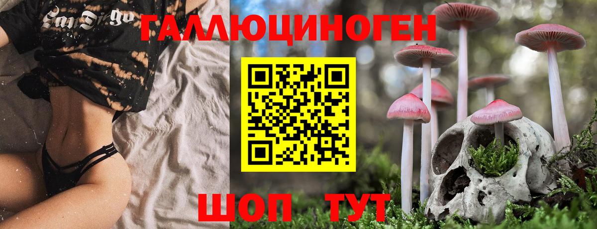 Новошахтинск  Галлюциногенные грибы мицелий  Вход с VPN 